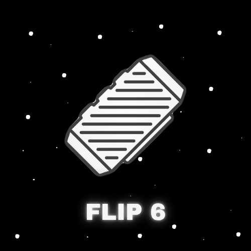 FLIP 6